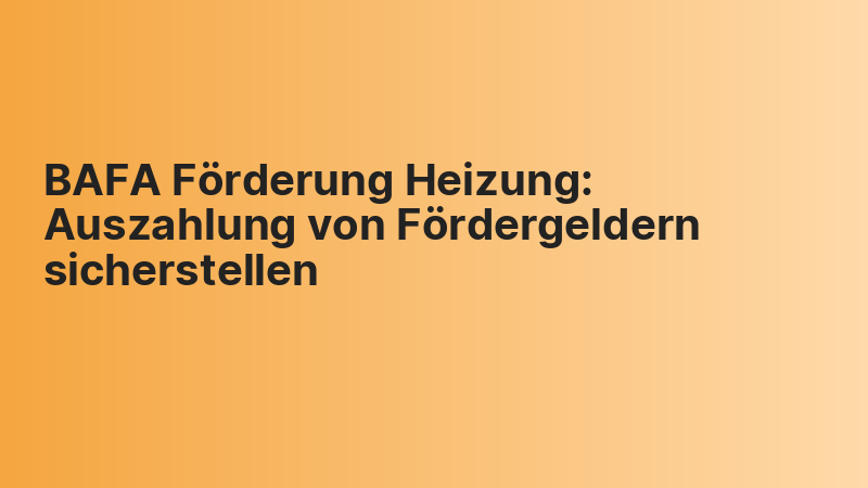 BAFA Förderung Heizung: Auszahlung von Fördergeldern sicherstellen