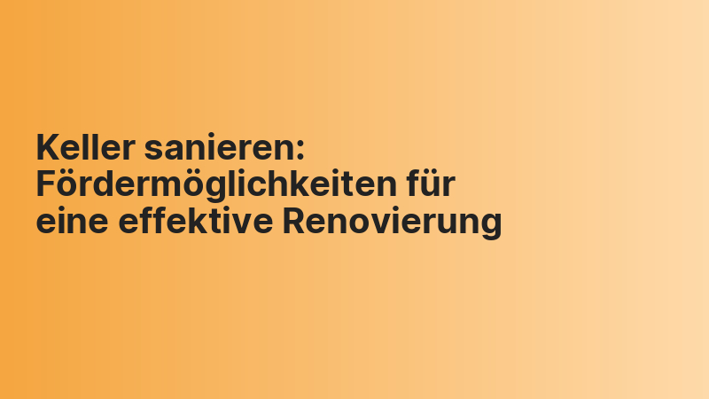 Keller sanieren: Fördermöglichkeiten für eine effektive Renovierung